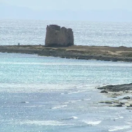 Dalmazia Willa *